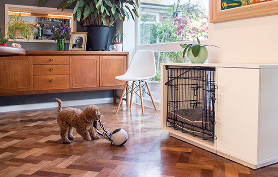 The modern piece of pet furniture allows you to reclaim the space above your dog's crate