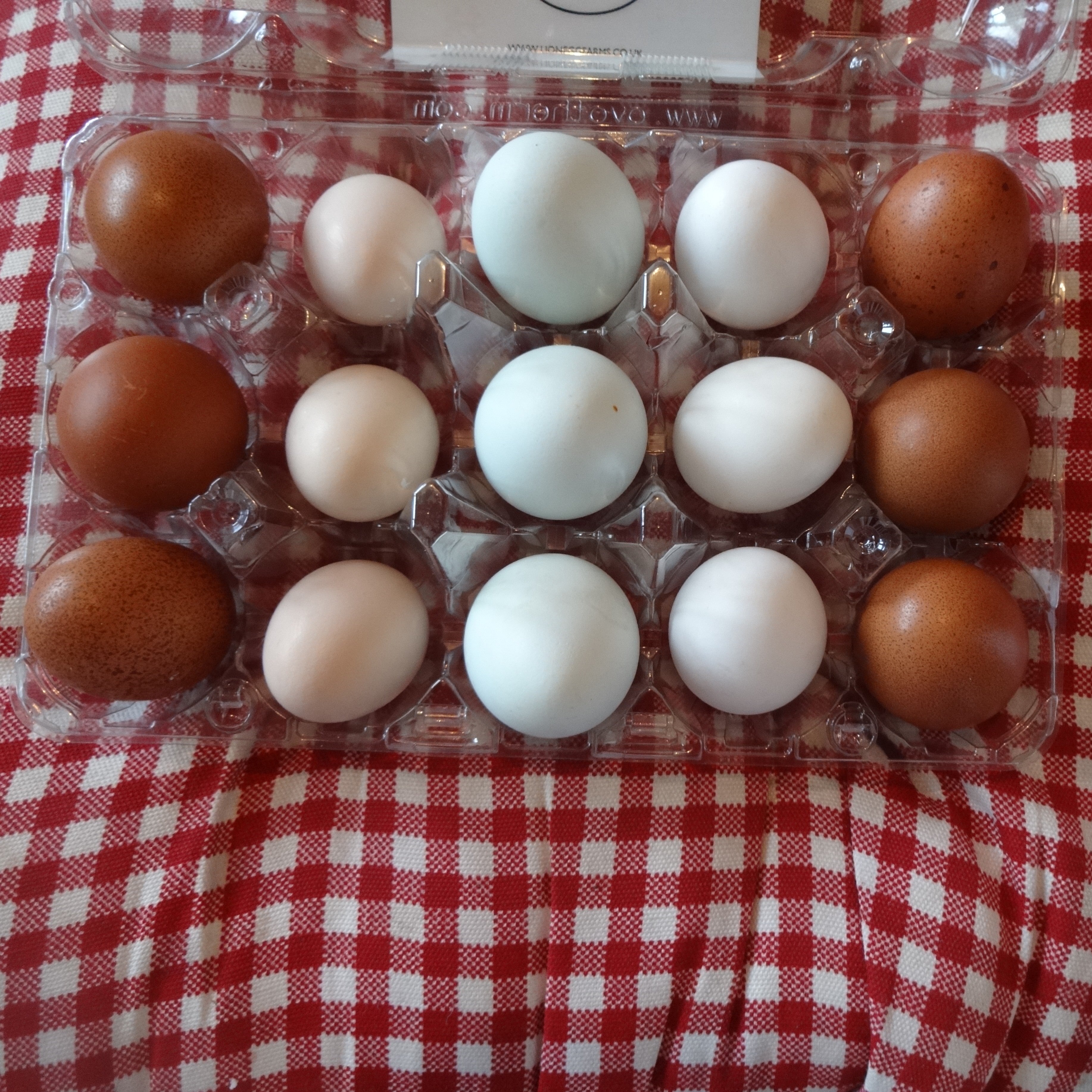 a chicken lays the same shaped egg each time, varying only in size as the bird gets older