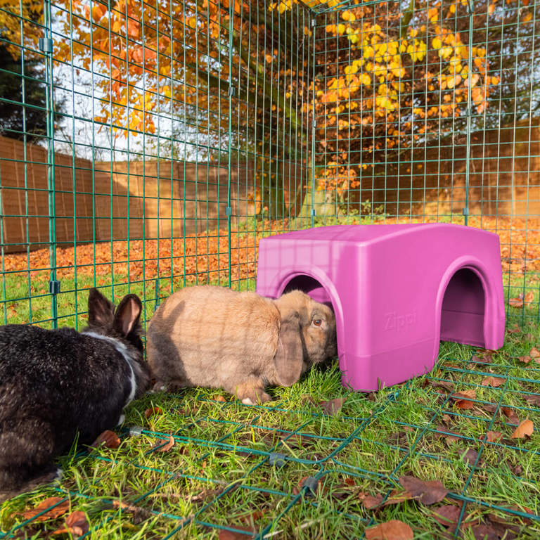 Neutering your rabbit reduces the territorial instinct that often leads to aggression