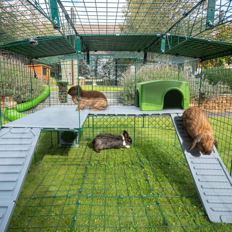 Give your rabbits more space with a Zippi Platform