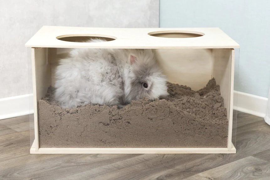 Rabbits love to dig. Consider a designated digging pit