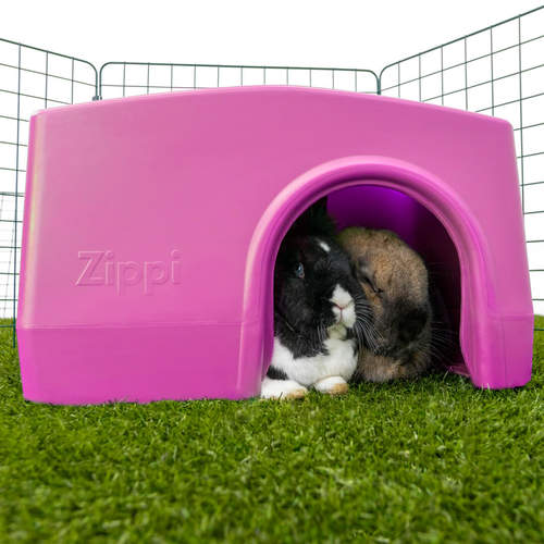 Give your rabbit a safe shelter to relax or hide