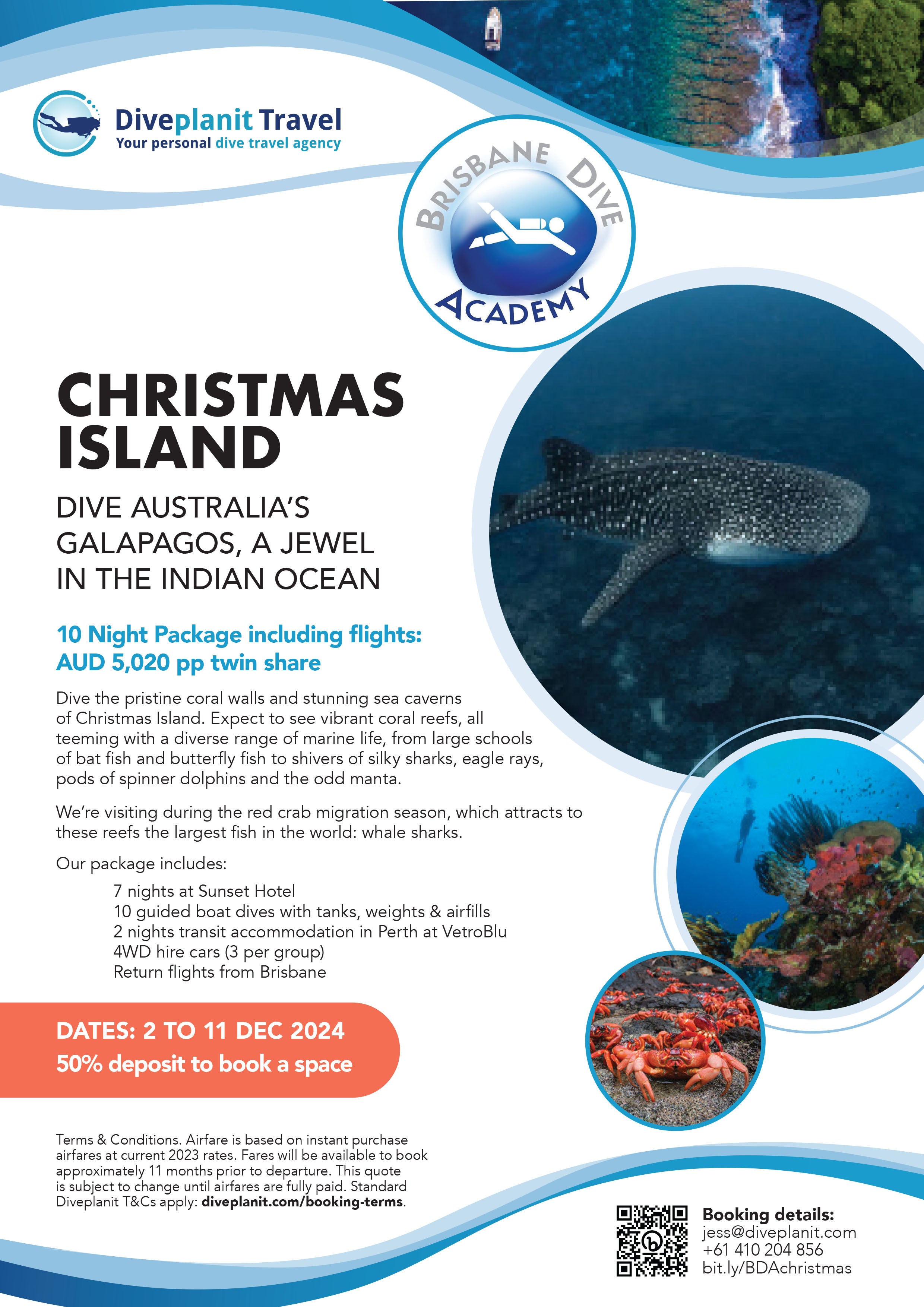 Christmas Island Dive Trip