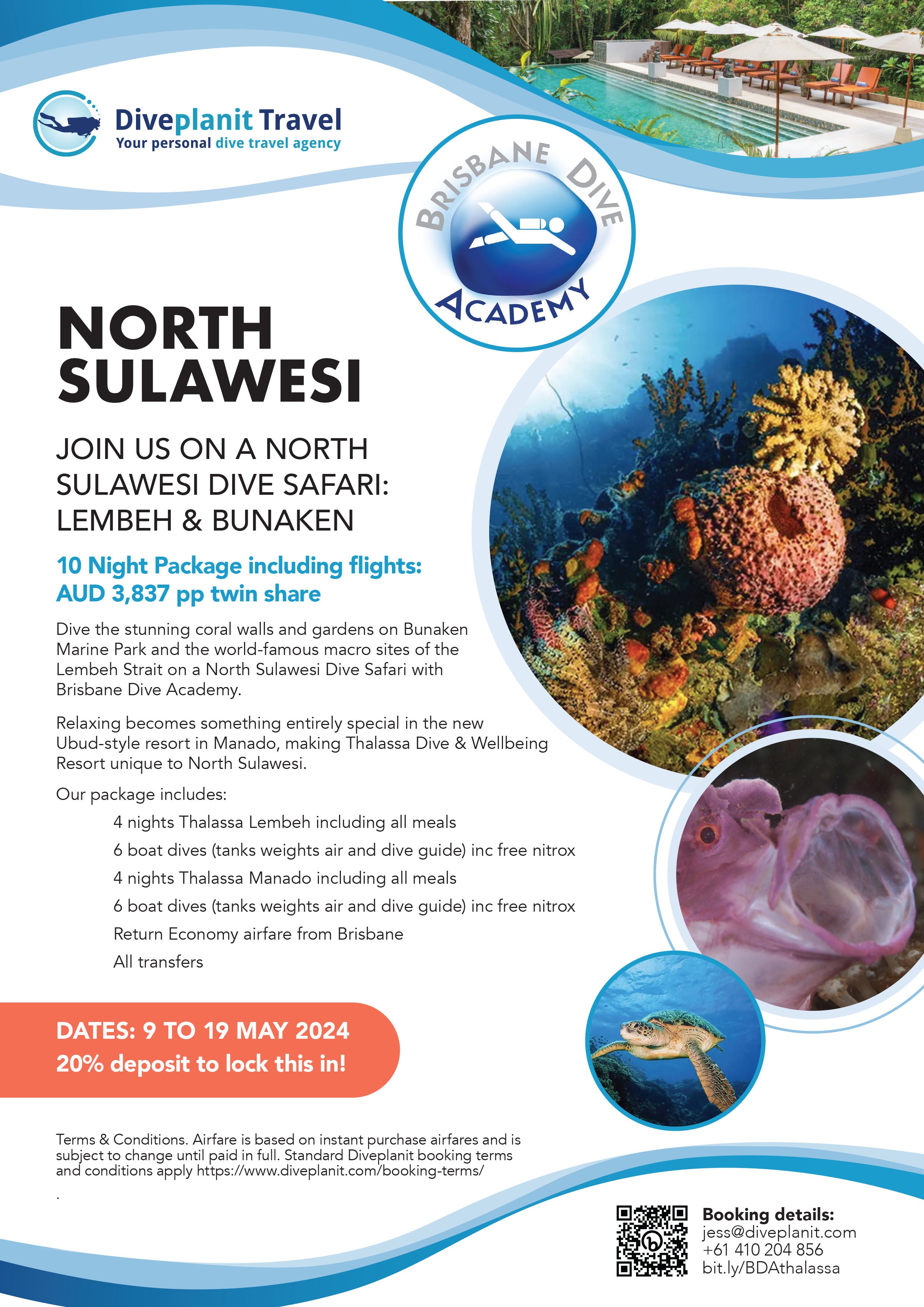 North Sulawesi Dive trip