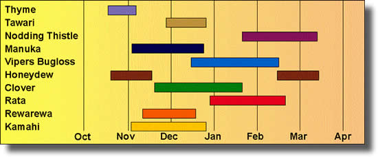 Different Flowering Times | Airborne Honey 