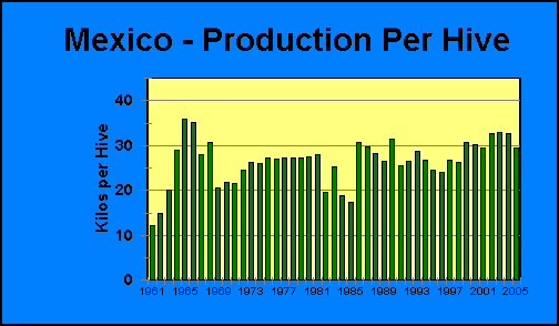 Mexico Production Per Hive | Airborne Honey 