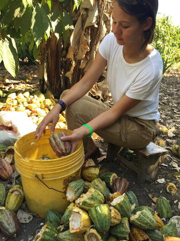 Ulrika Bergenkrans - founder of Svenska Kakao in Tanzania opening cacao fruit
