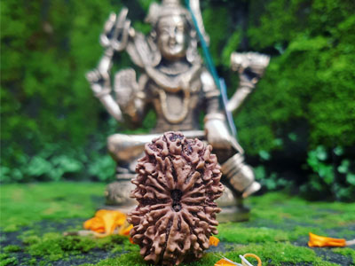 PRECAUTIONS TO TAKE BEFORE AND AFTER WEARING RUDRAKSHA
– Rudradhyay