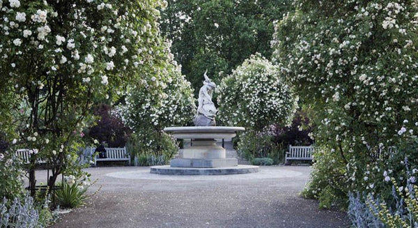 Verlan Paris, THE ROSE GARDENS IN HYDE PARK - PUBLIC GARDEN LONDON W2 2AR, UNITED KINGDOM