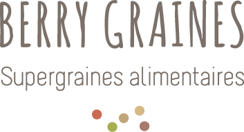 Logo Berry Graines.png__PID:e3d90efa-6fcf-4b85-b61e-f7940d0021c1