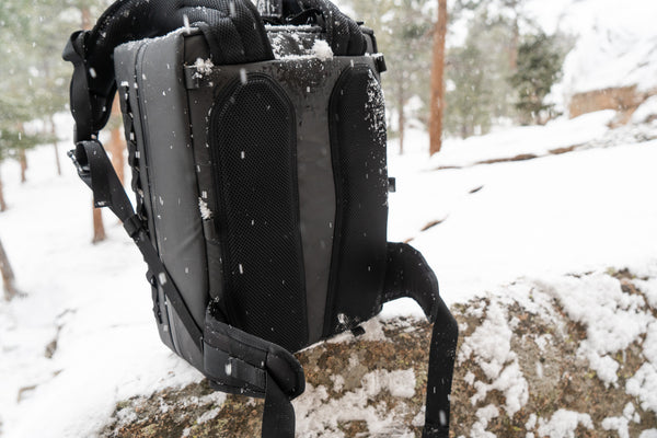 Rear panel of Companion pack