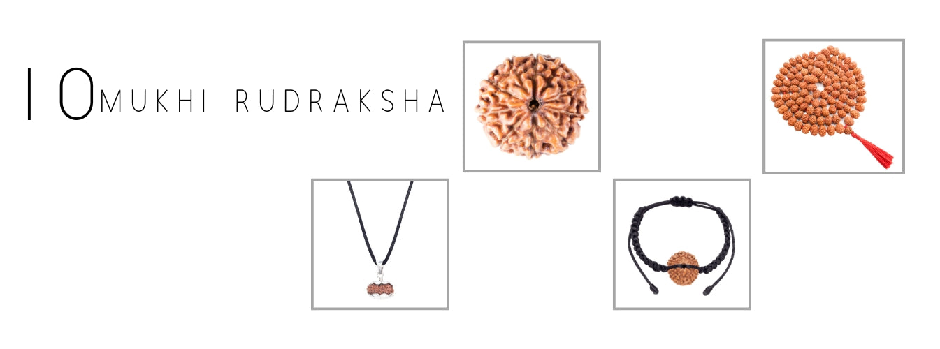 10 Mukhi Rudraksha Products