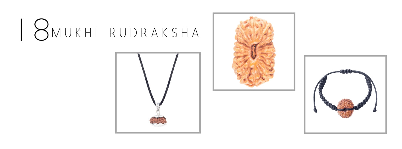 18 Mukhi Rudraksha Products