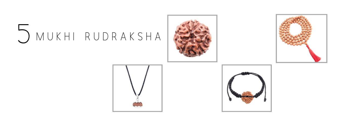 5 Mukhi Rudraksha Products