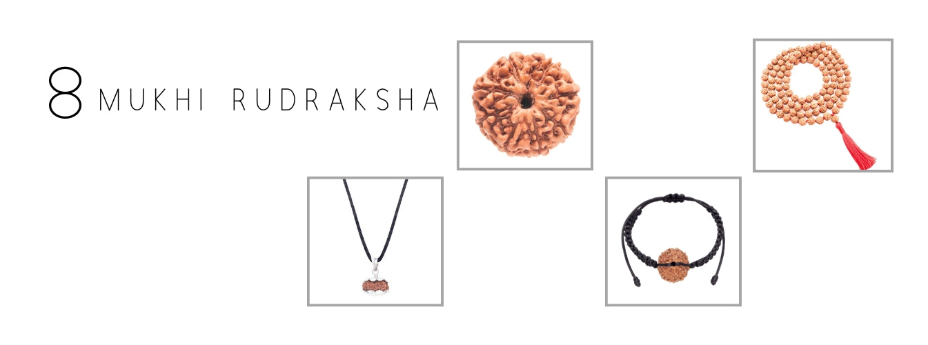 8 Mukhi Rudraksha Products