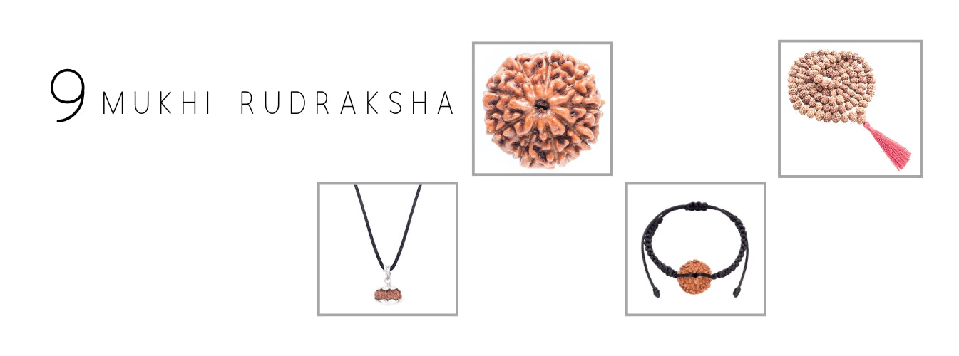 9 Mukhi Rudraksha Products