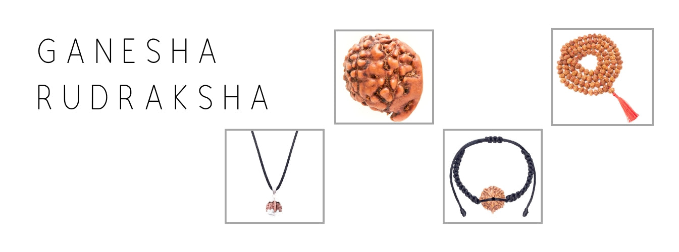 Ganesha Rudraksha Products