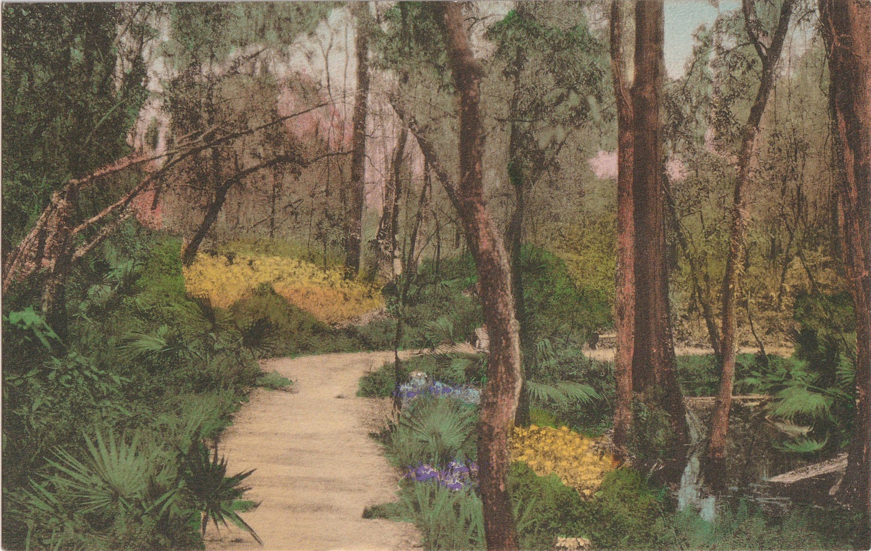 Cypress Gardens Charleston Sc Postcard C 1920s Ephemera