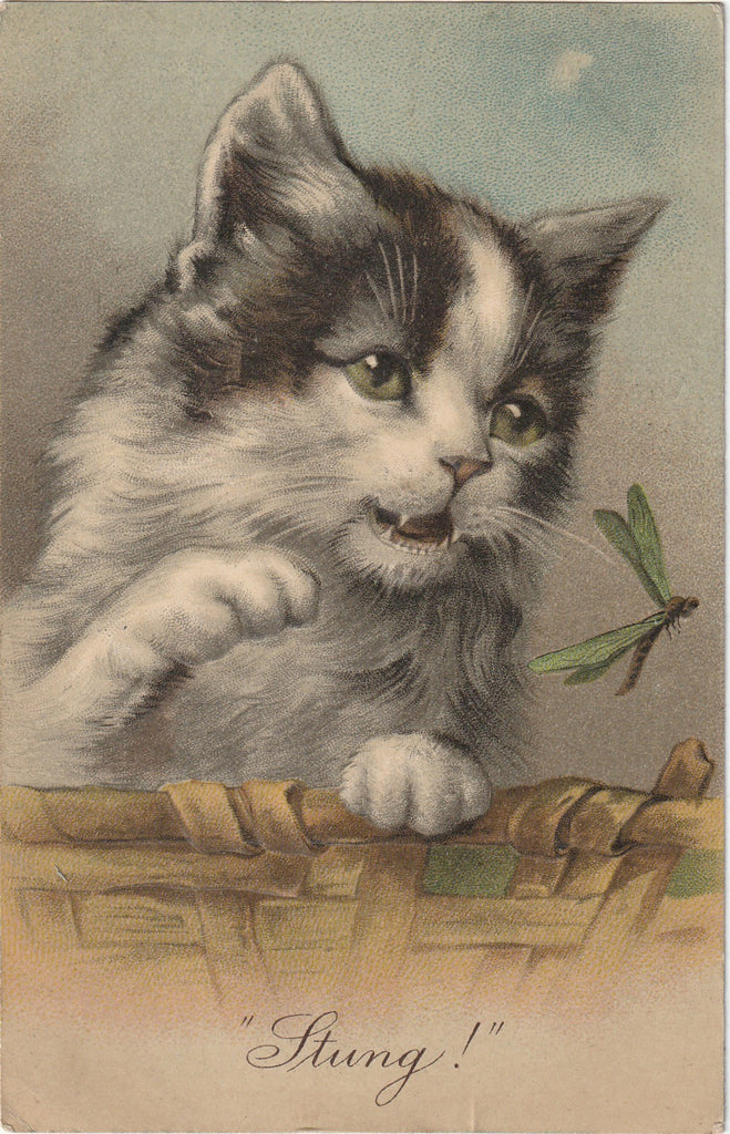 Stung - Dragonfly and Kitten - G. A. Novelty Art Series No. 903 - Postcard, c. 1900s