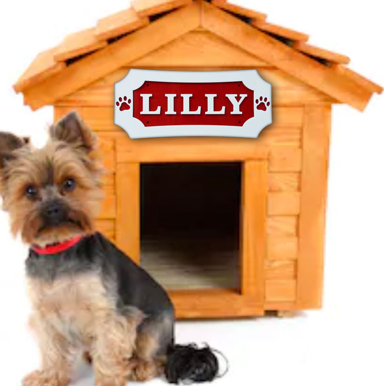 what is a dogs kennel name