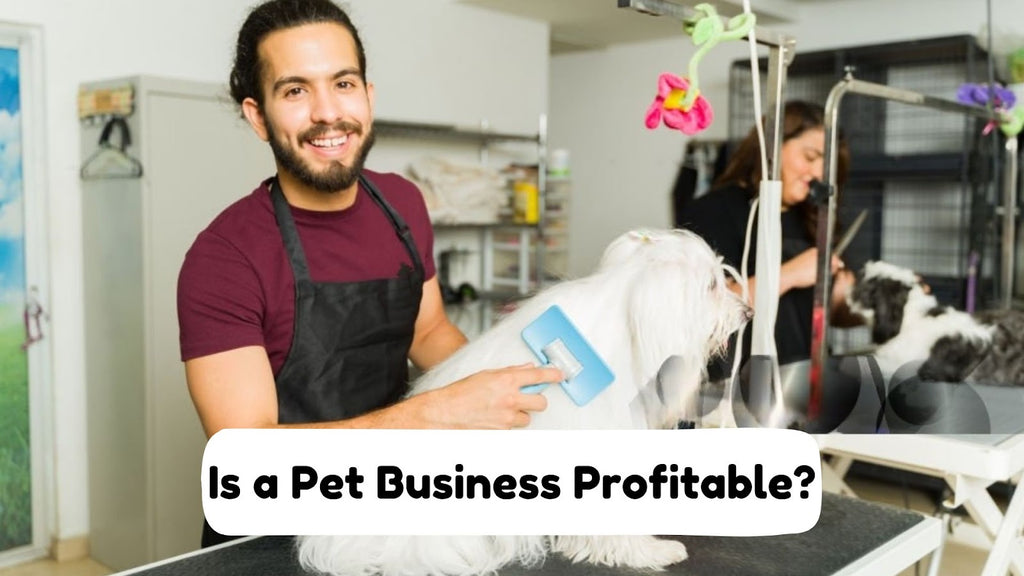 Is a pet business profitable?