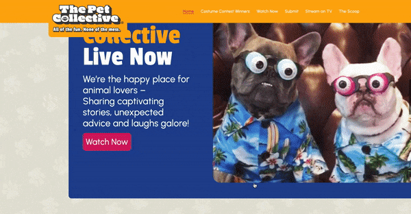 The Pet Collective is an online pet-oriented vlogging channel.
