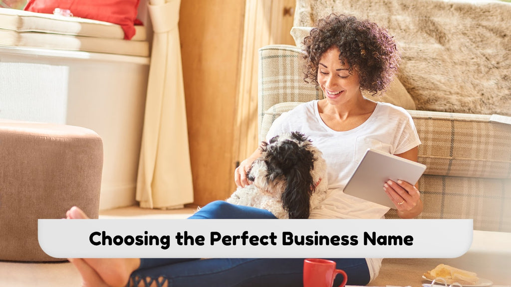 How to choose the perfect name for your pet business?