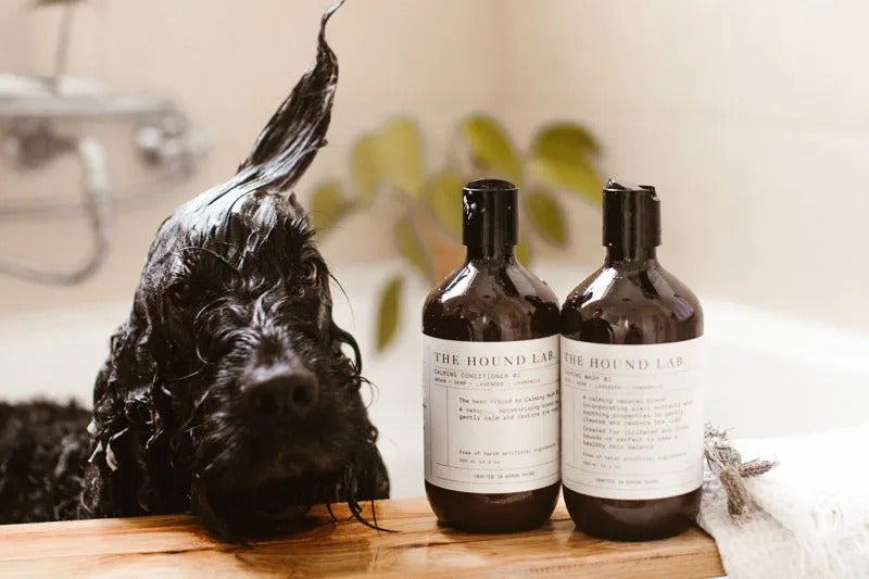 Eco-friendly Pet Care Products & Services