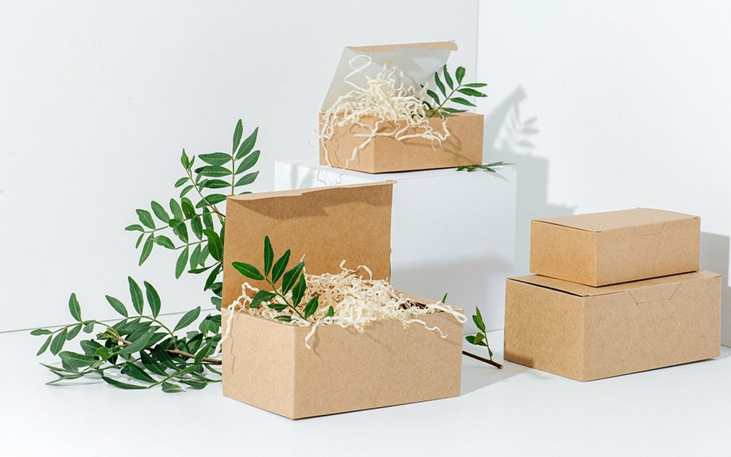 Biodegradable Packaging Solutions