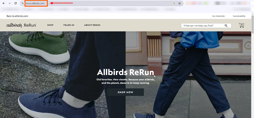 Shopify multiples websites example: Allbirds ReRun. It also has a separate website for their slightly used shoes.