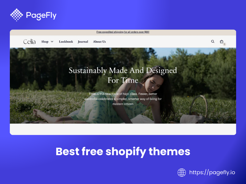 how to choose the best free Shopify theme