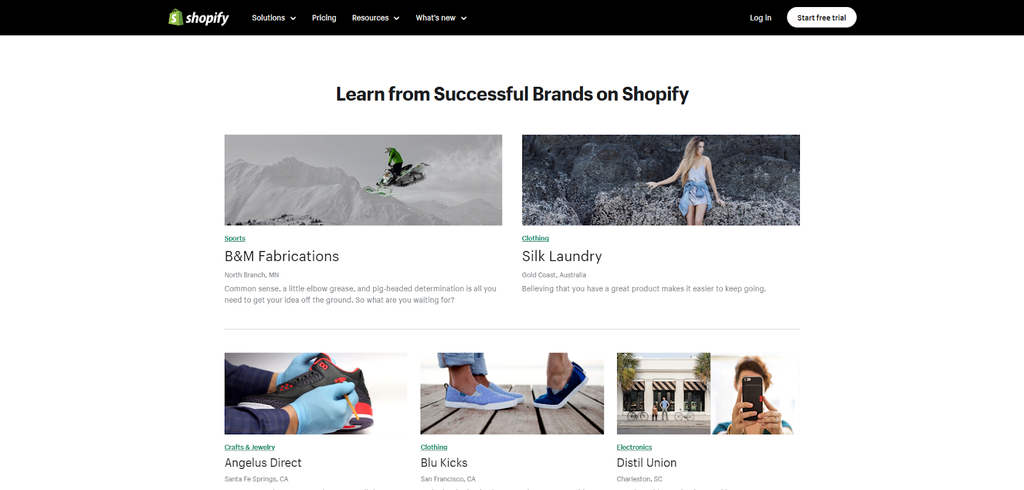 List of successful stores in Shopify