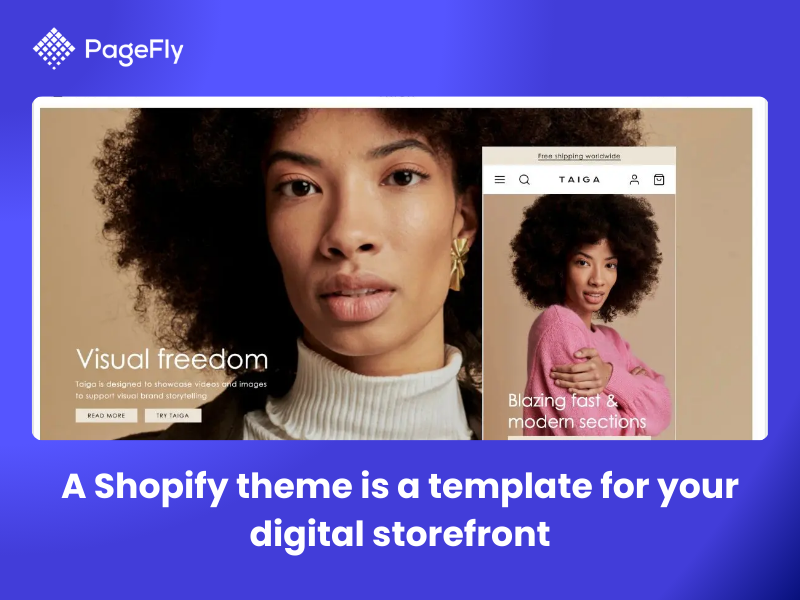 What is the most popular Shopify theme?