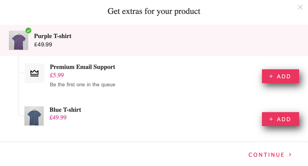 Premium Email support