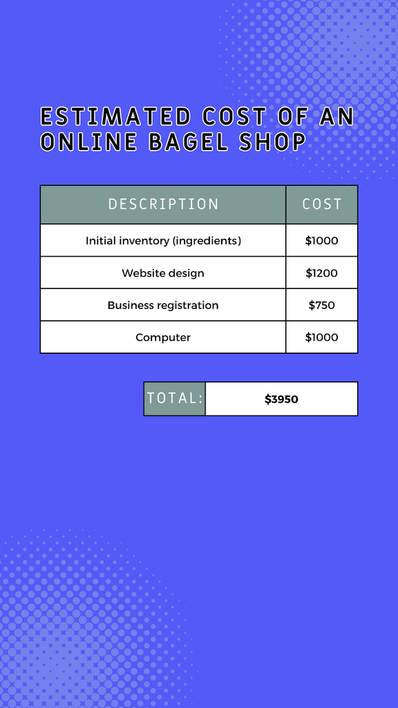 A table that breaks down all the estimated expenses associated to establishing an online bagel store
