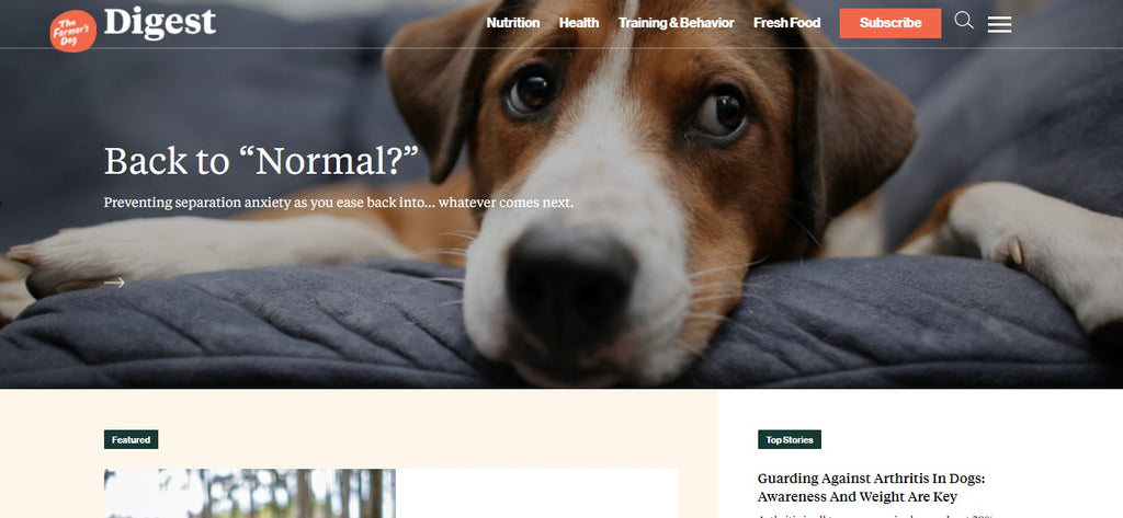 The Farmer’s Dog Blog Design homepage