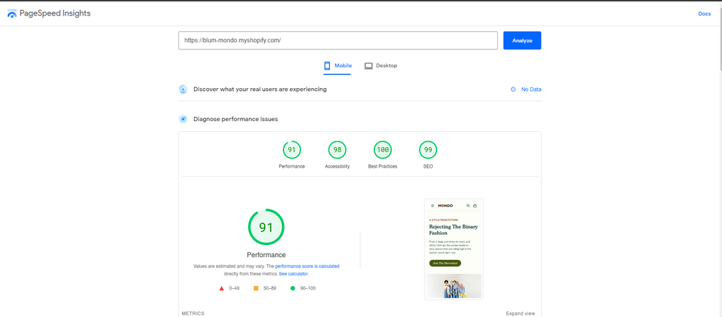 page speed insights of Blum Mondo style