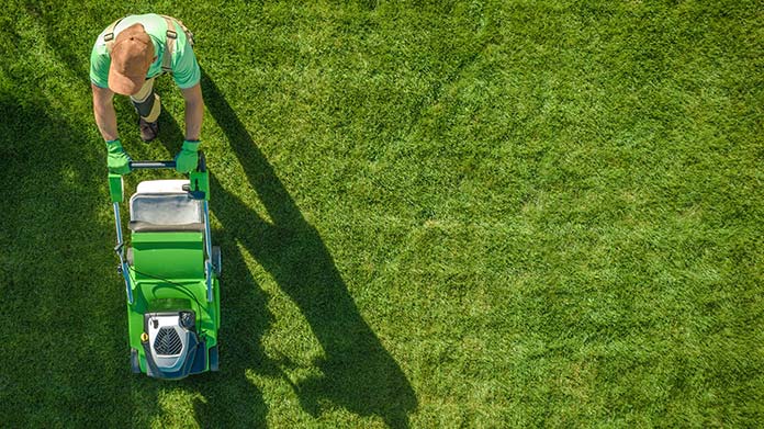 Lawn care business for teenagers