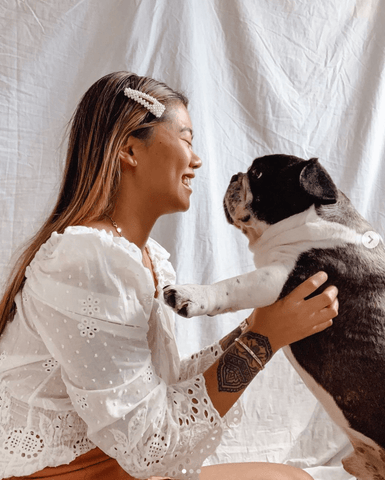 collaborating with influencers with dogs