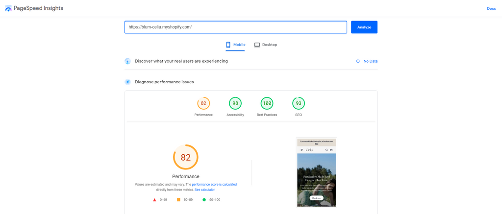 page speed insights of Blum Celia style