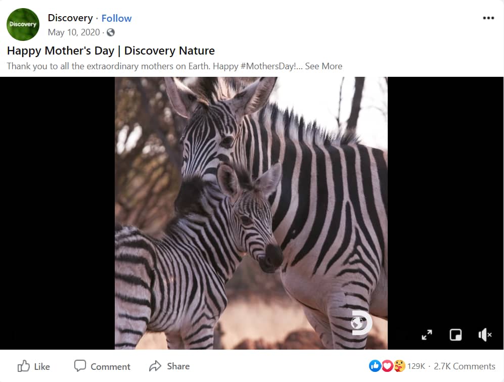 Discovery Channel's mother's day channel