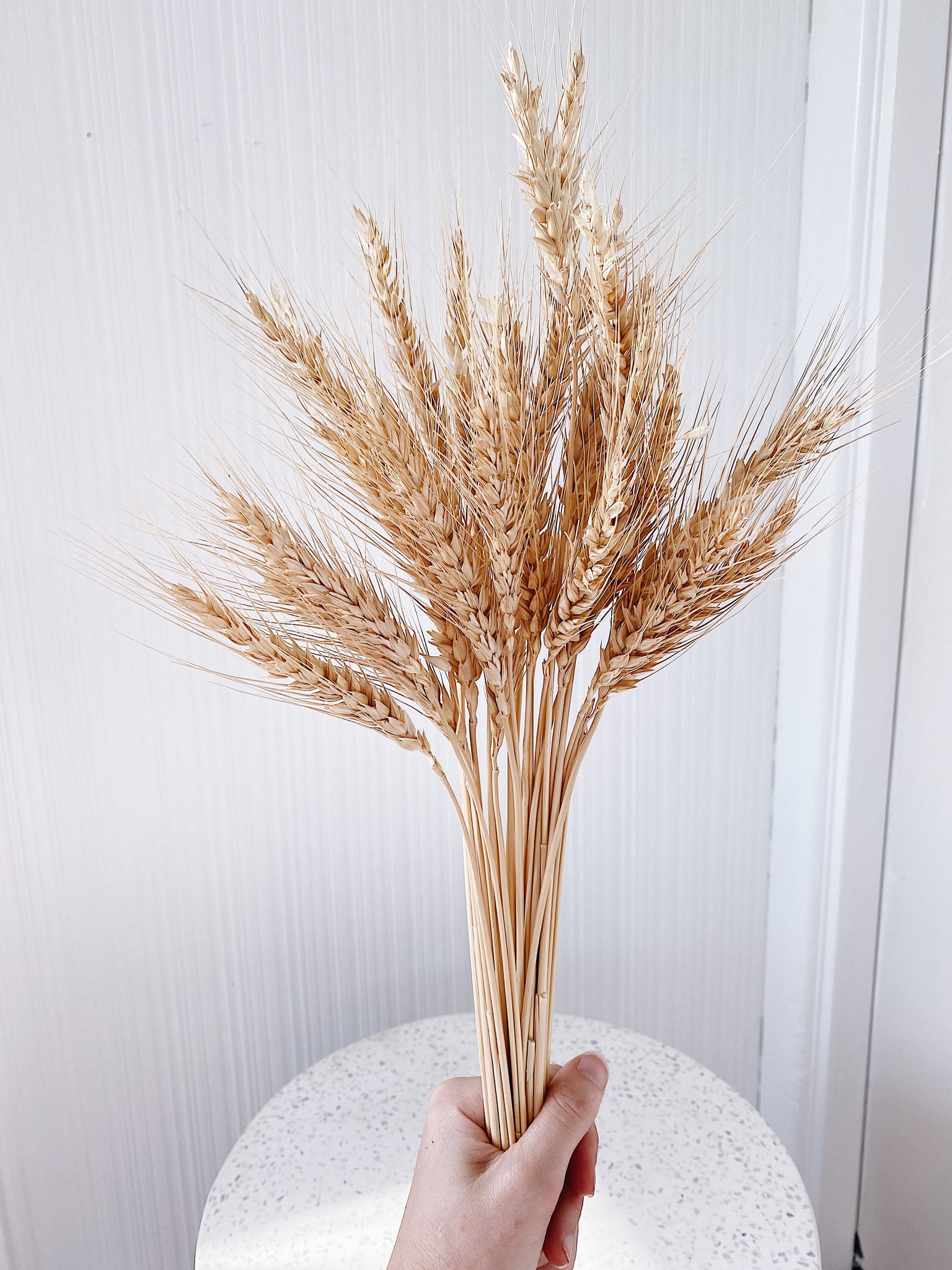 Dried Wheat Bush Bundle – Sonder + Stone Boutique