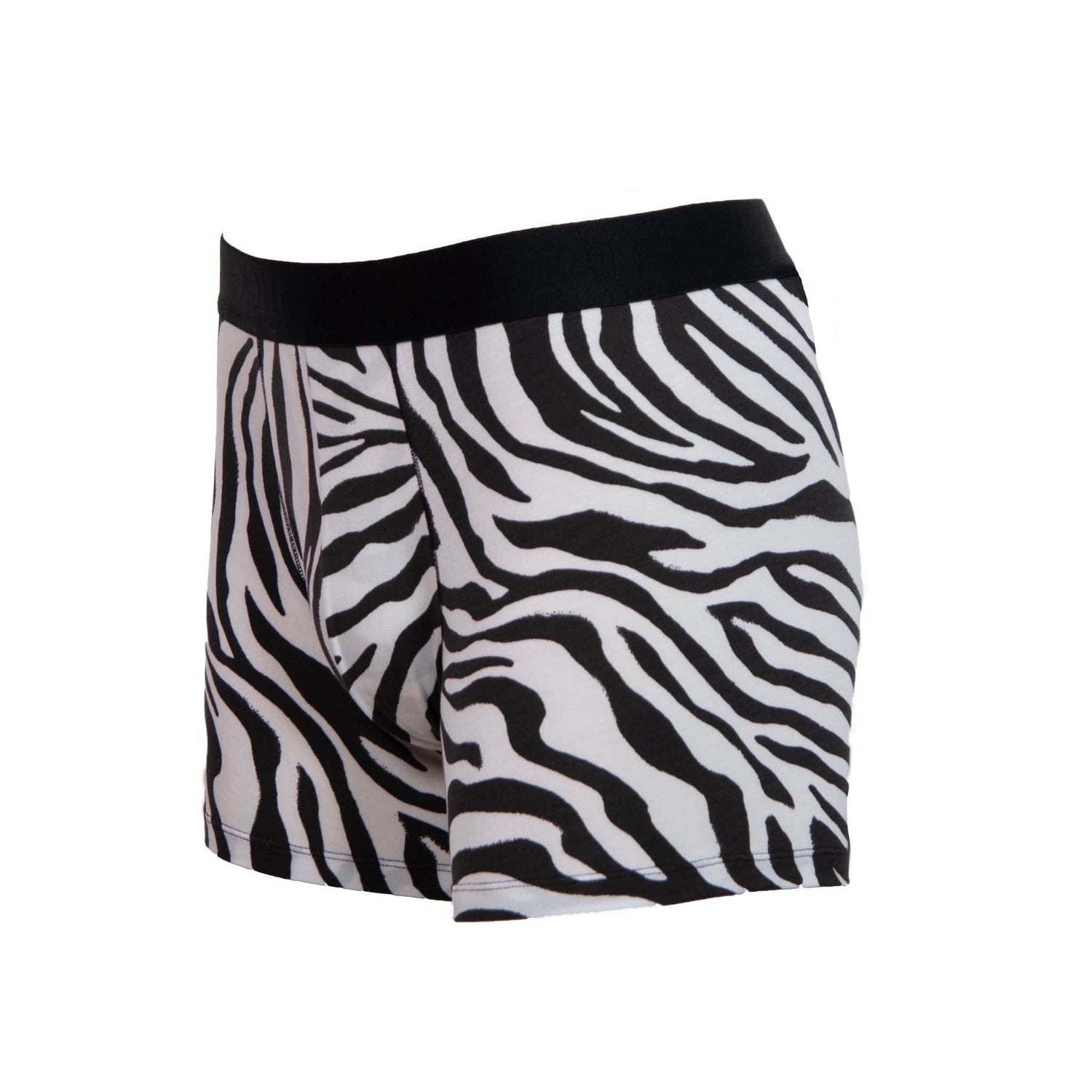 FANCIES - Micromodal Boxer Briefs in Zebra