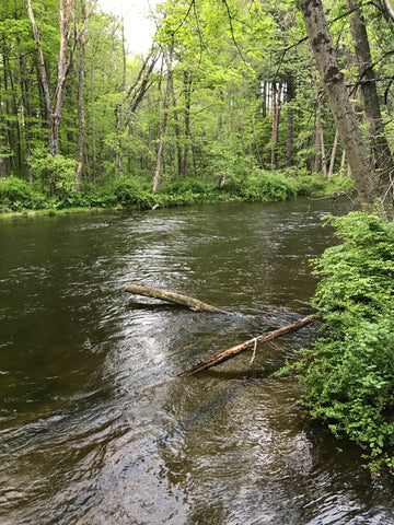EB Croton - Phoebes Bend Looking Upstream