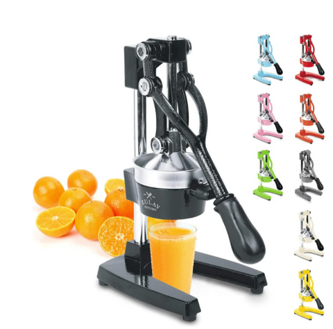 Citrus press juicer