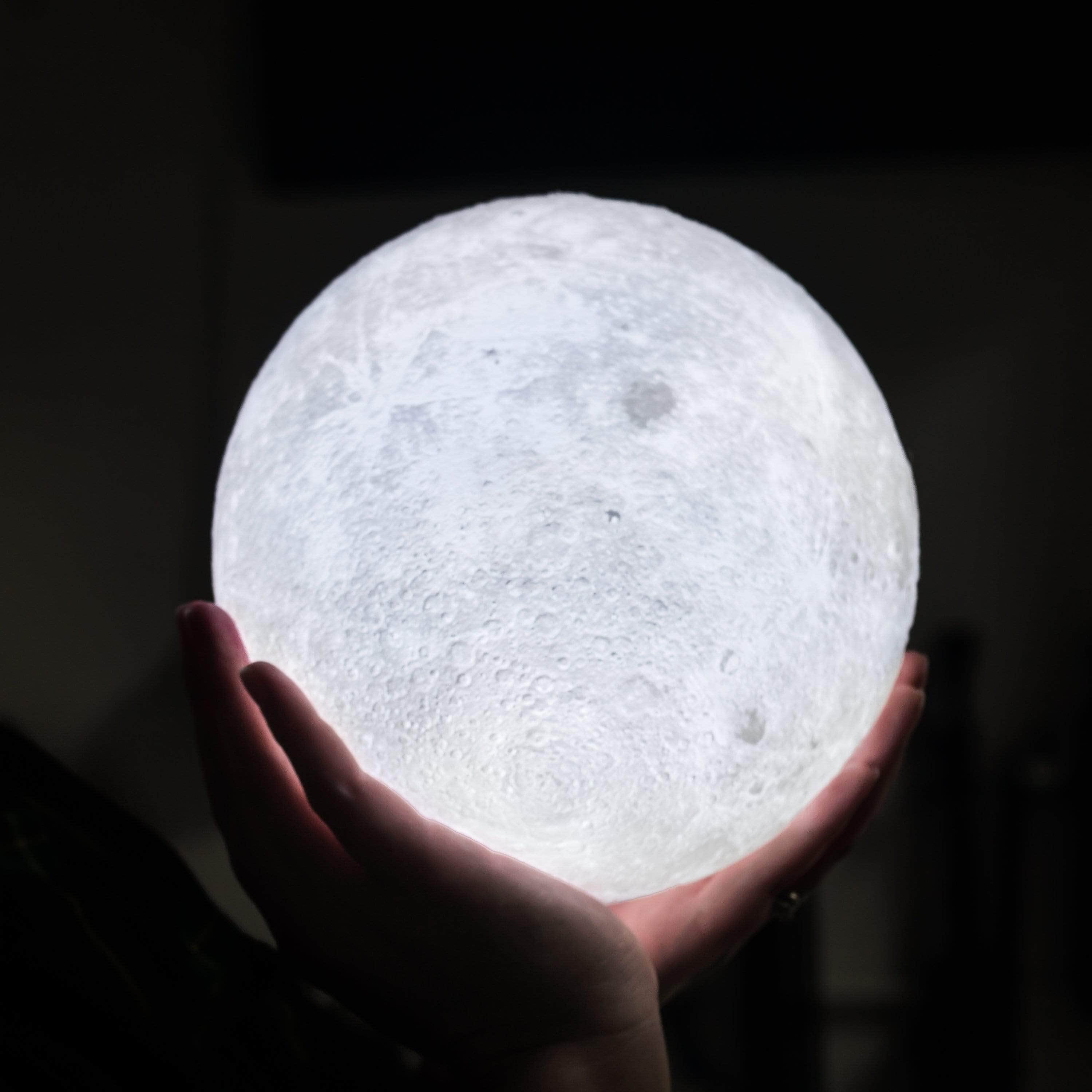Moon Light – Articture