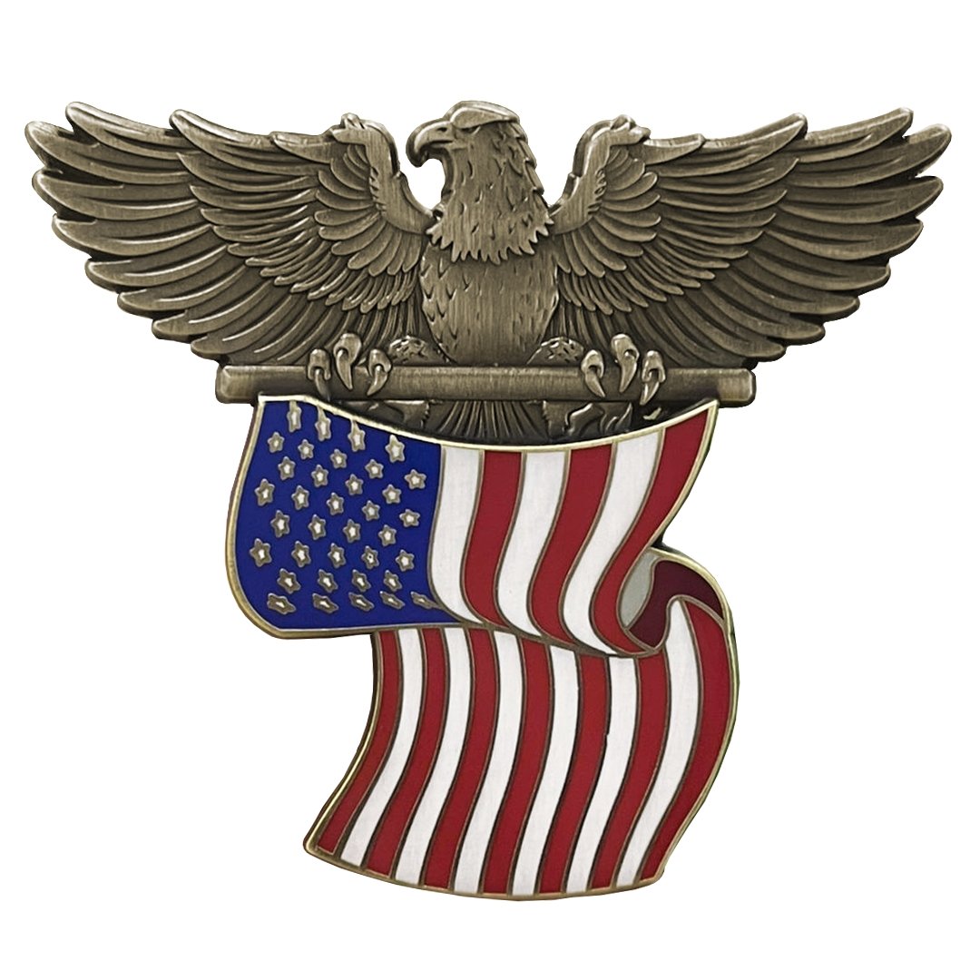 Eagle Flag Enamel Pin