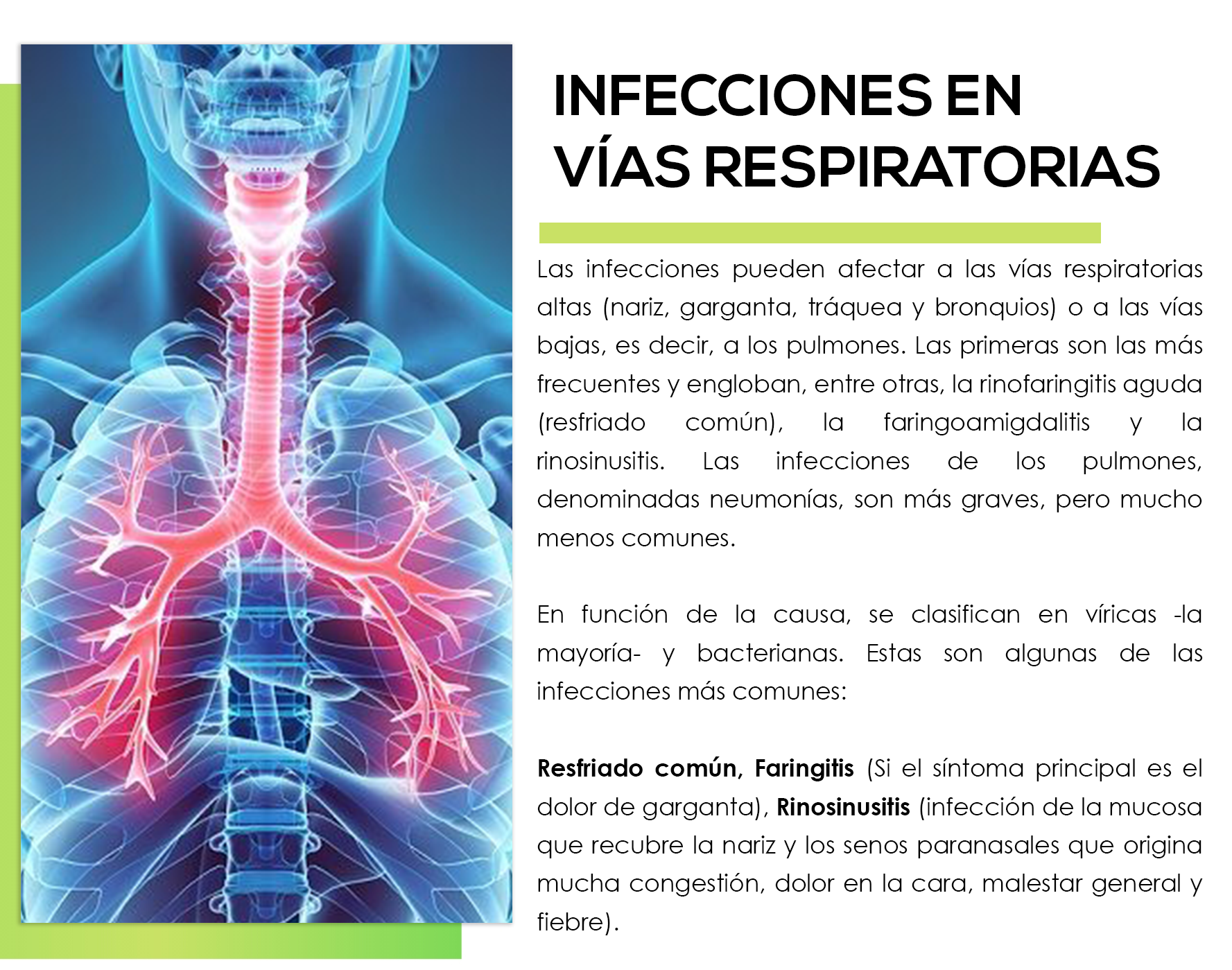 Infecciones En VÍas Respiratorias Sonamex 0913