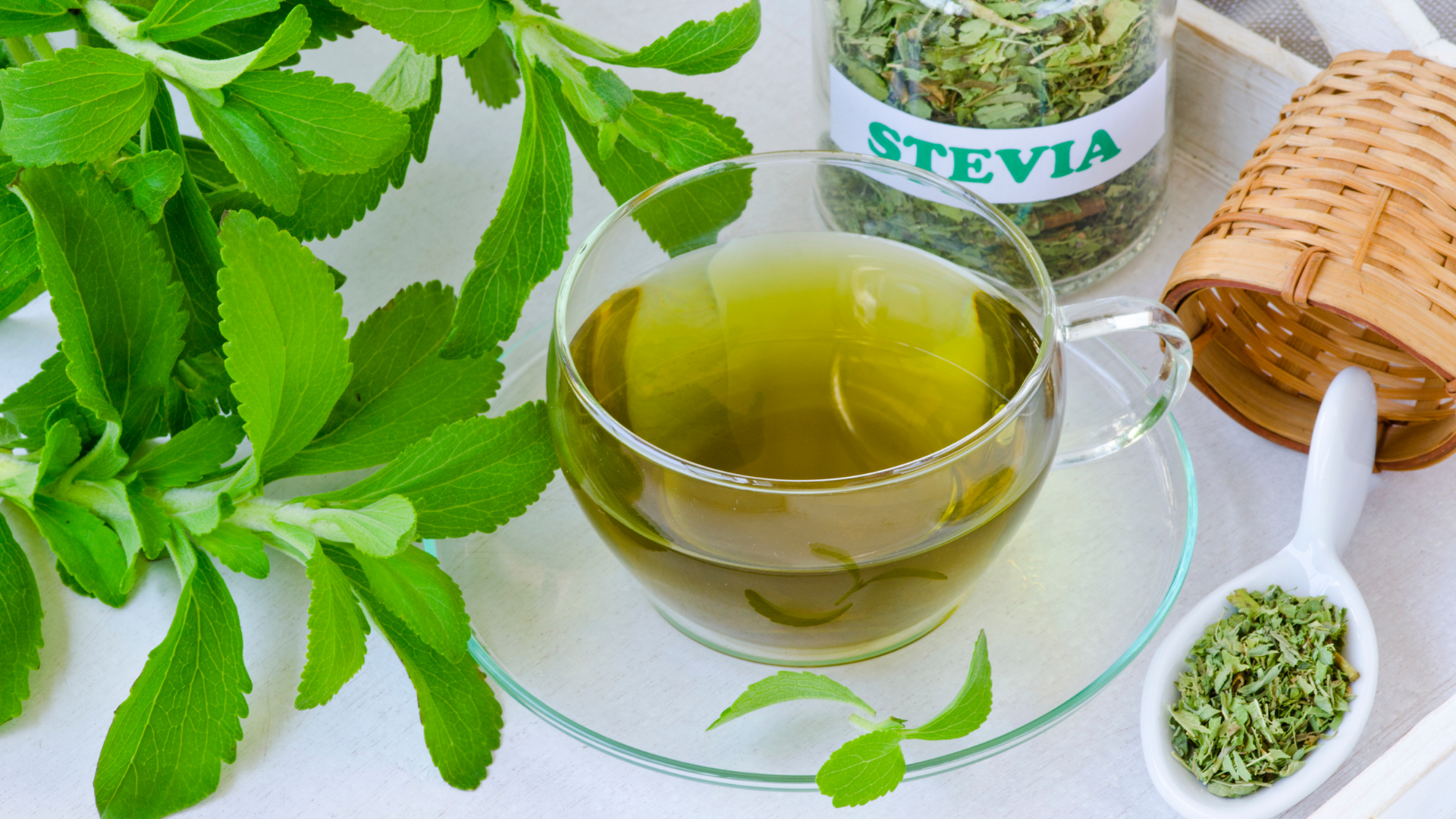 Stevia - SONAMEX