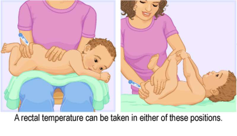 Taking Baby Temperature in Rectal